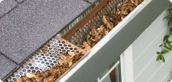Leaves falling into gutters.
