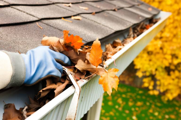 Gutter Cleaning Near me 5
